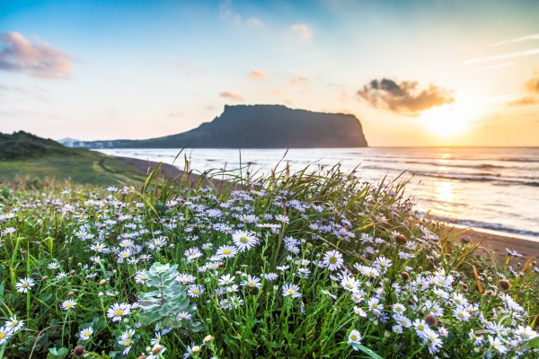 My Top 15 Jeju Island Photos 2015 - Eric Hevesy Photography