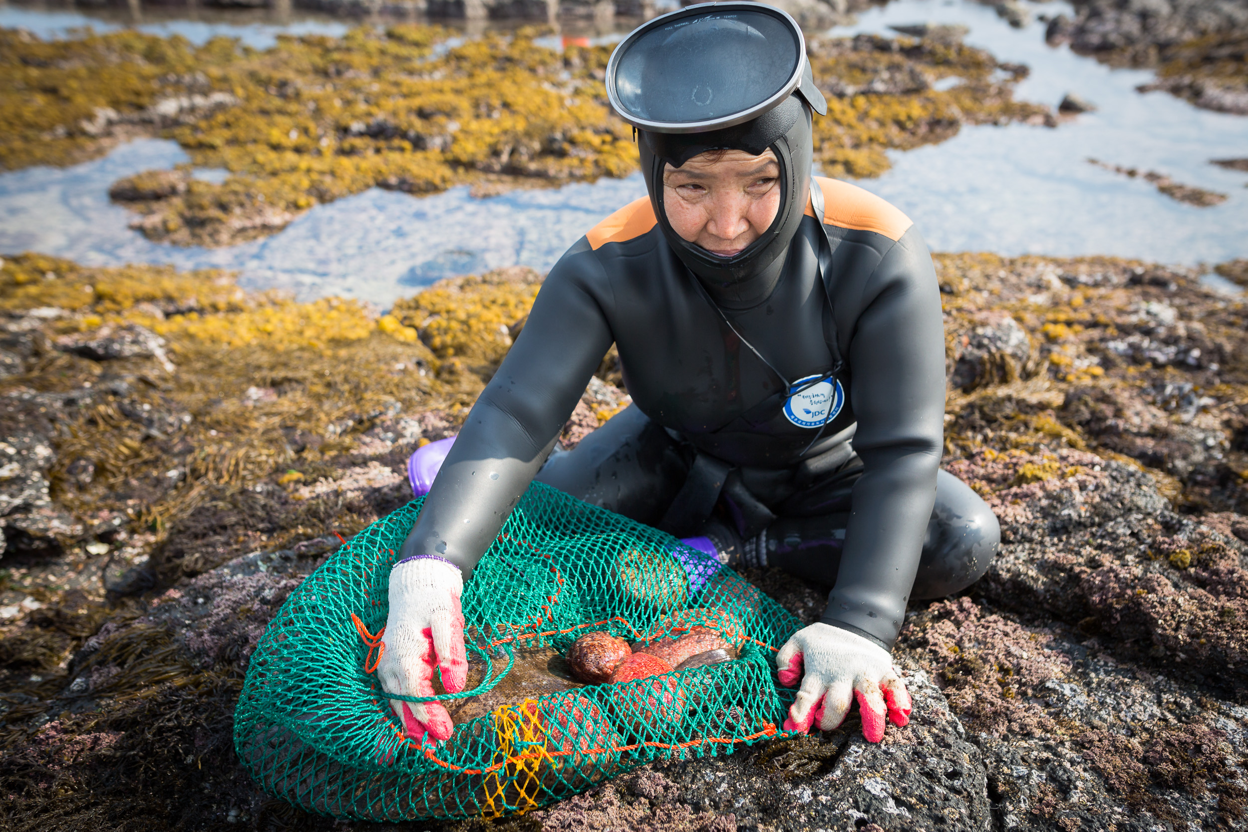 Jeju Haenyeo Female Divers Photos